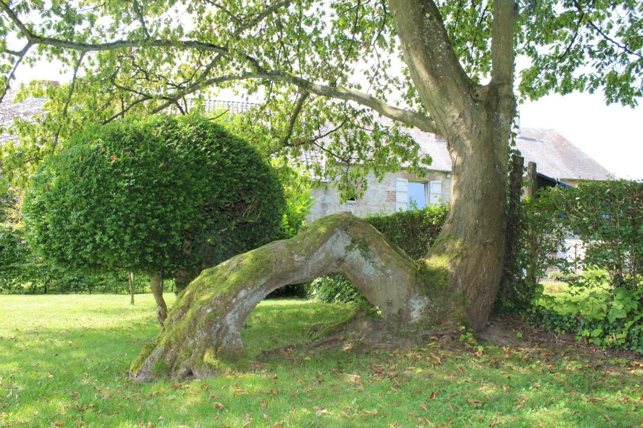 Gite De L'Ehm Villa Custinne Luaran gambar