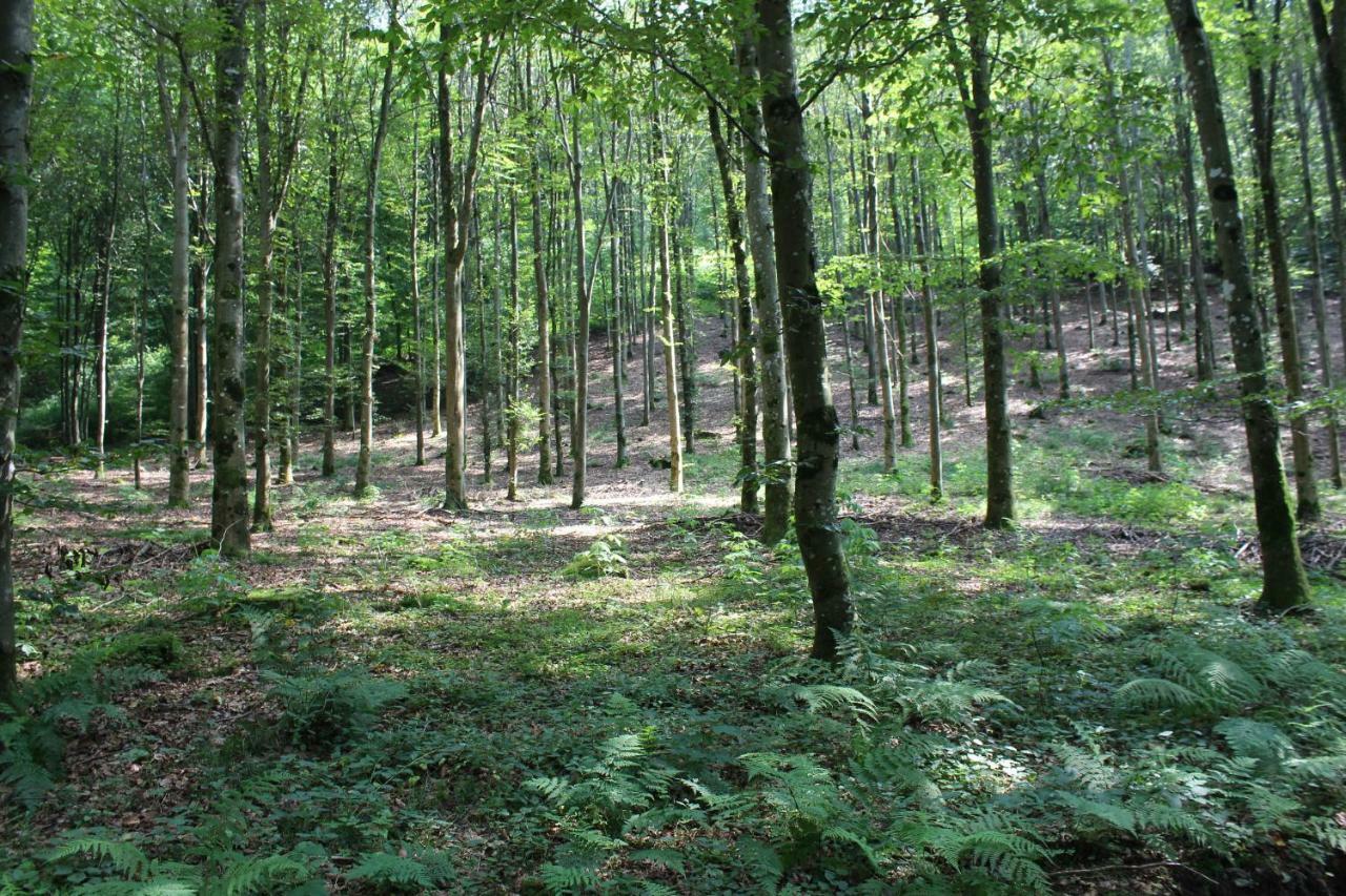 Gite De L'Ehm Villa Custinne Luaran gambar